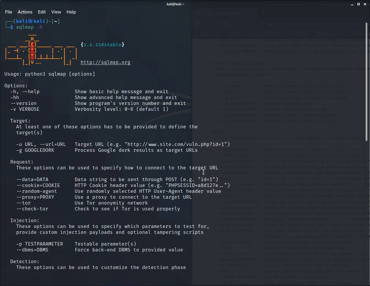 自动SQL注入检测